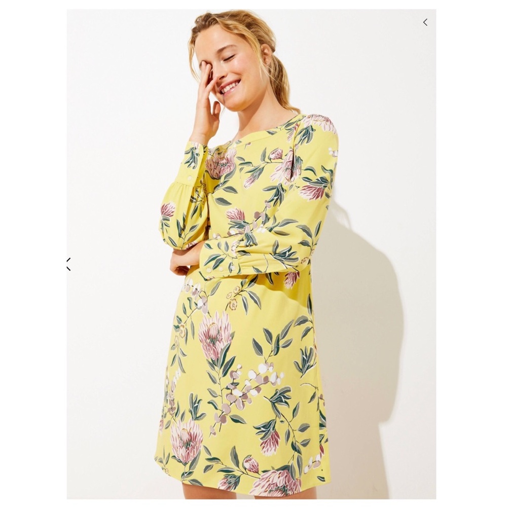 NWT LOFT Petite Floral Boatneck Shift Dress